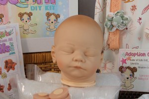David Asleep ~ beBorn DIY Kit