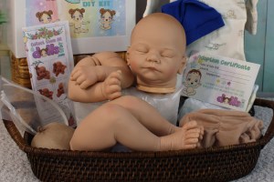 David Asleep ~ beBorn DIY Kit
